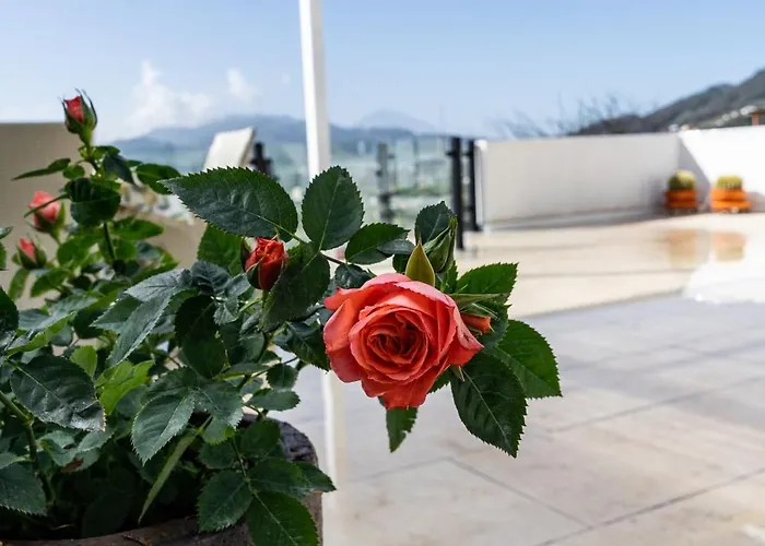 Casa De Limon Cerrogordo