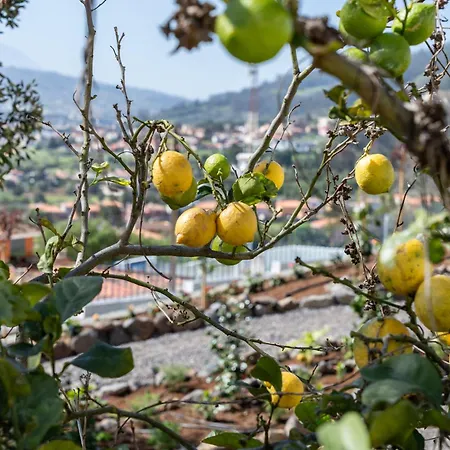 Casa De Limon Ferienhaus