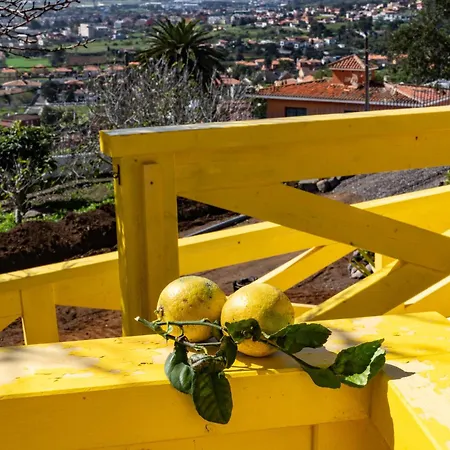 Casa De Limon *