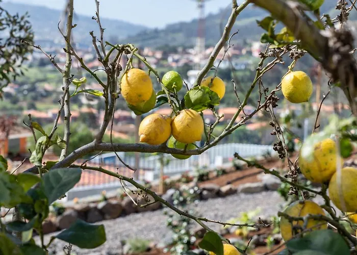 Casa De Limon Dom wakacyjny